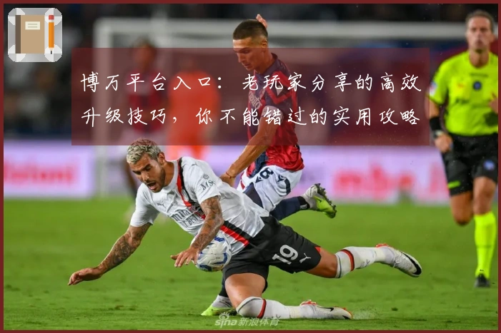 博万平台入口：老玩家分享的高效升级技巧，你不能错过的实用攻略！