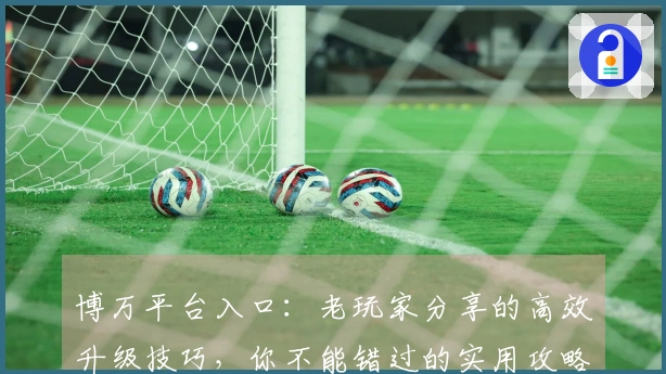 博万平台入口：老玩家分享的高效升级技巧，你不能错过的实用攻略！